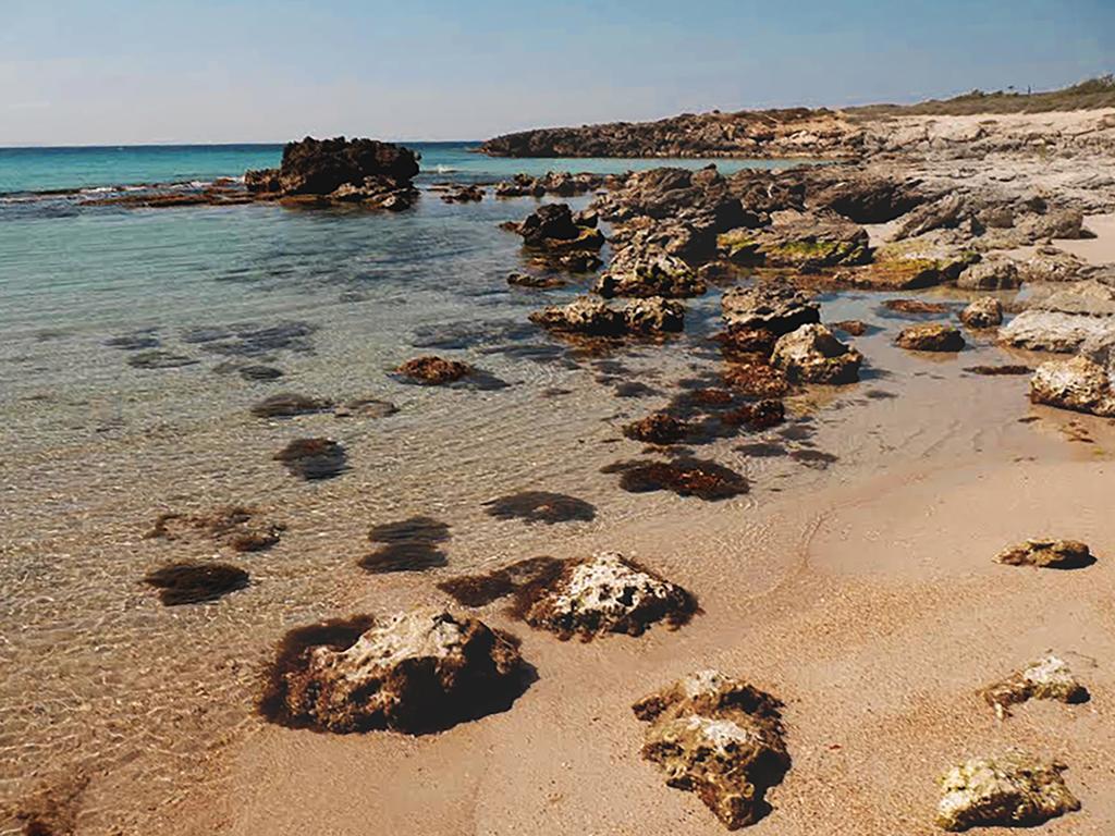 פולסנו Luxury Beach Villa Puglia Italy מראה חיצוני תמונה